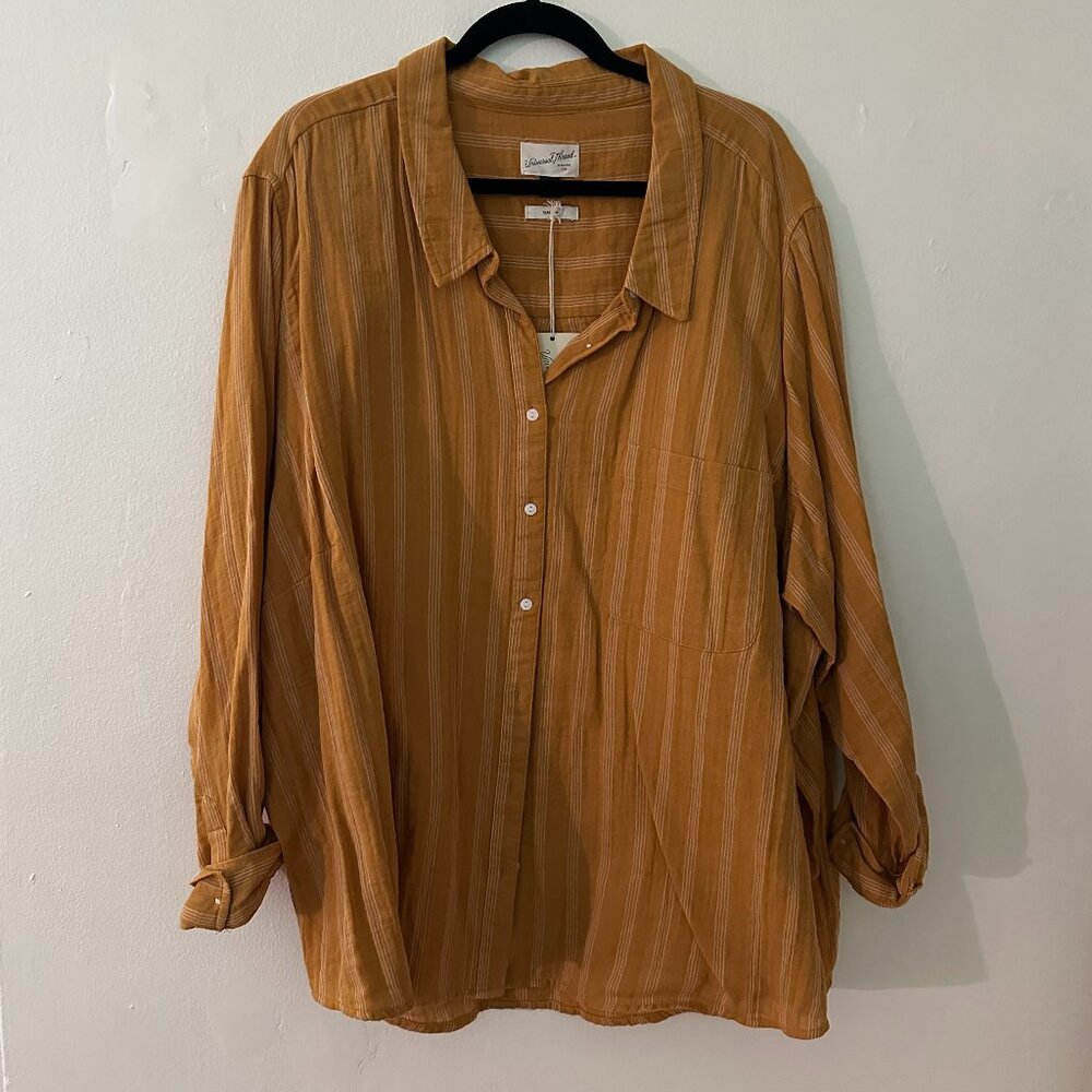 Striped Button Down Shirt